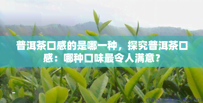 普洱茶口感的是哪一种，探究普洱茶口感：哪种口味最令人满意？