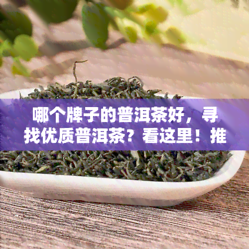 哪个牌子的普洱茶好，寻找优质普洱茶？看这里！推荐与评价