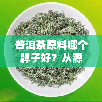 普洱茶原料哪个牌子好？从源头把控品质，探究茶叶种类与口感的关系