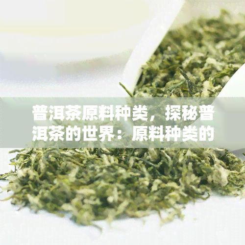 普洱茶原料种类，探秘普洱茶的世界：原料种类的多样性与特点