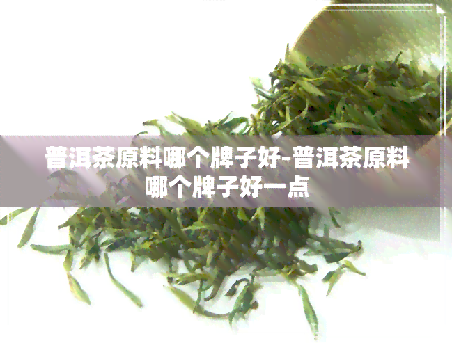 普洱茶原料哪个牌子好-普洱茶原料哪个牌子好一点