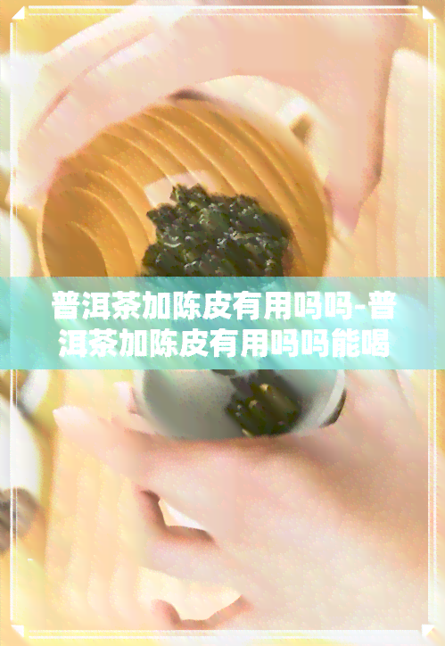 普洱茶加陈皮有用吗吗-普洱茶加陈皮有用吗吗能喝吗