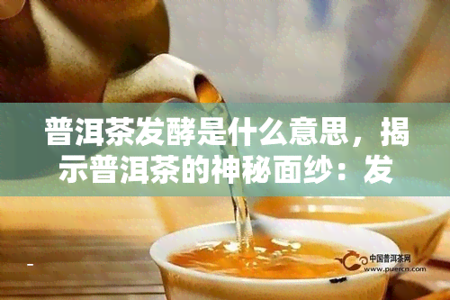 普洱茶发酵是什么意思，揭示普洱茶的神秘面纱：发酵过程解析