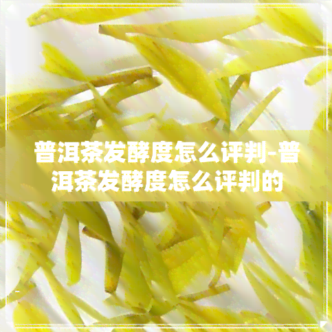 普洱茶发酵度怎么评判-普洱茶发酵度怎么评判的