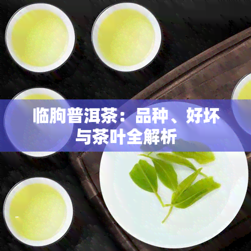 临朐普洱茶：品种、好坏与茶叶全解析