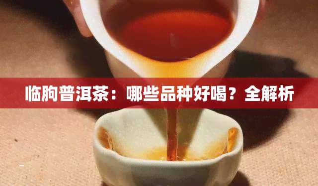 临朐普洱茶：哪些品种好喝？全解析