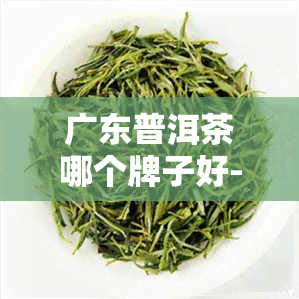 广东普洱茶哪个牌子好-广东普洱茶哪个牌子好喝