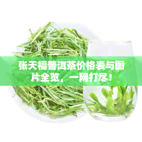 张天福普洱茶价格表与图片全览，一网打尽！