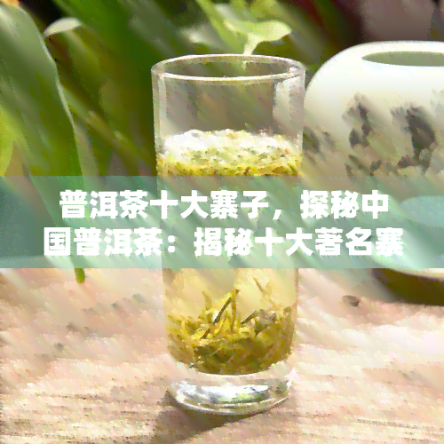 普洱茶十大寨子，探秘中国普洱茶：揭秘十大著名寨子的独特魅力