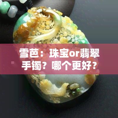 雪芭：珠宝or翡翠手镯？哪个更好？