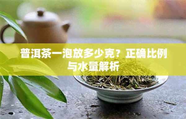 普洱茶一泡放多少克？正确比例与水量解析