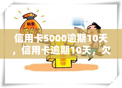 信用卡5000逾期10天，信用卡逾期10天，欠款达5000元，应该如何处理？