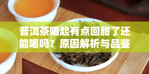 普洱茶喝起有点回甜了还能喝吗？原因解析与品鉴指南