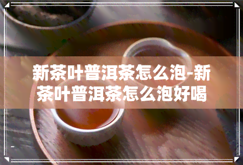 新茶叶普洱茶怎么泡-新茶叶普洱茶怎么泡好喝