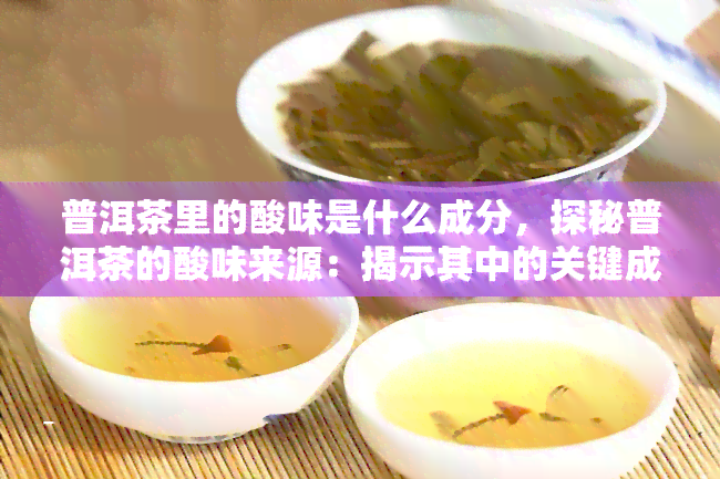 普洱茶里的酸味是什么成分，探秘普洱茶的酸味来源：揭示其中的关键成分