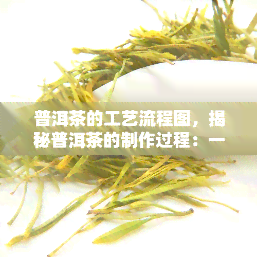 普洱茶的工艺流程图，揭秘普洱茶的制作过程：一份详细的工艺流程图