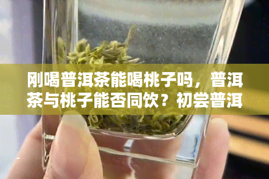 刚喝普洱茶能喝桃子吗，普洱茶与桃子能否同饮？初尝普洱茶后应避免立即食用桃子