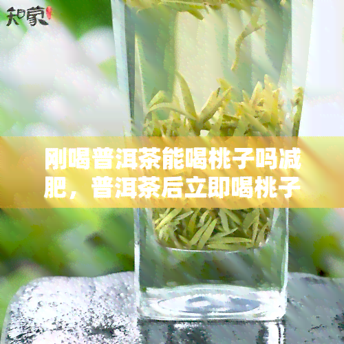 刚喝普洱茶能喝桃子吗减肥，普洱茶后立即喝桃子有助于减肥吗？