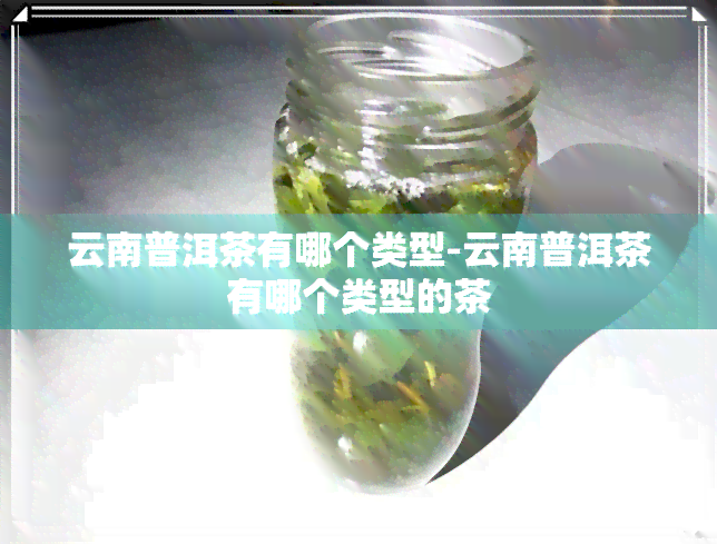 云南普洱茶有哪个类型-云南普洱茶有哪个类型的茶