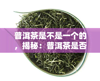 普洱茶是不是一个的，揭秘：普洱茶是否是一个？