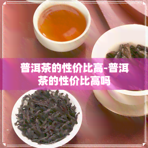 普洱茶的性价比高-普洱茶的性价比高吗