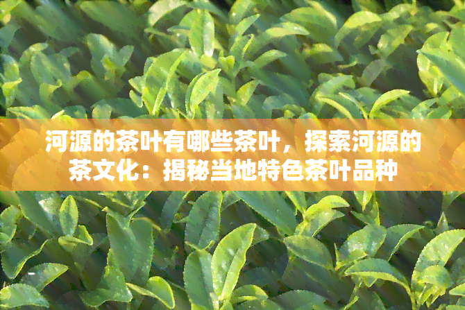 河源的茶叶有哪些茶叶，探索河源的茶文化：揭秘当地特色茶叶品种