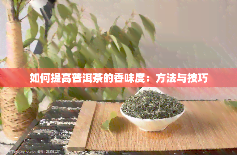 如何提高普洱茶的香味度：方法与技巧