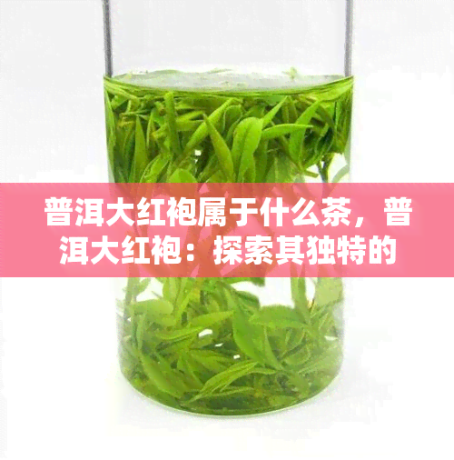 普洱大红袍属于什么茶，普洱大红袍：探索其独特的茶叶品种与分类