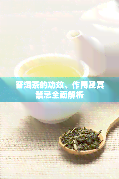 普洱茶的功效、作用及其禁忌全面解析