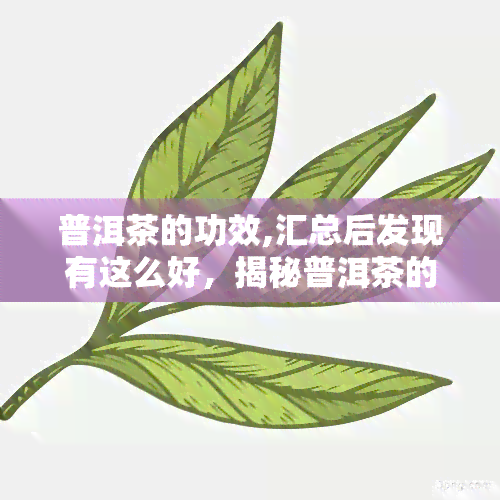 普洱茶的功效,汇总后发现有这么好，揭秘普洱茶的神奇功效，一网打尽！