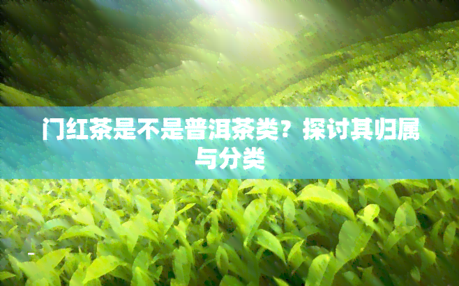 门红茶是不是普洱茶类？探讨其归属与分类