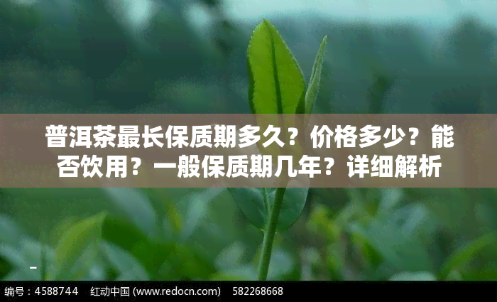 普洱茶最长保质期多久？价格多少？能否饮用？一般保质期几年？详细解析