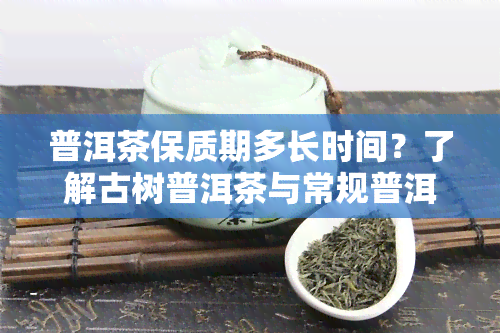 普洱茶保质期多长时间？了解古树普洱茶与常规普洱茶的保存期限差异