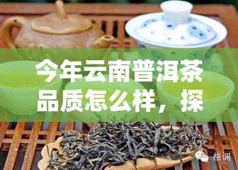 今年云南普洱茶品质怎么样，探究今年云南普洱茶的品质如何？