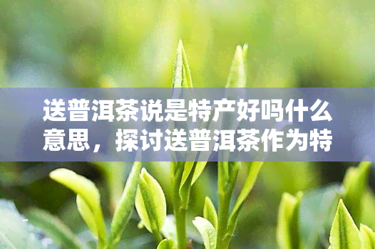 送普洱茶说是特产好吗什么意思，探讨送普洱茶作为特产的合适性