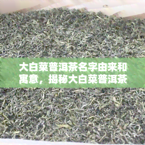 大白菜普洱茶名字由来和寓意，揭秘大白菜普洱茶的命名来源与深刻寓意