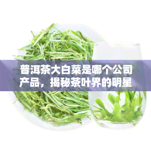 普洱茶大白菜是哪个公司产品，揭秘茶叶界的明星产品：普洱茶大白菜属于哪家公司的杰作？