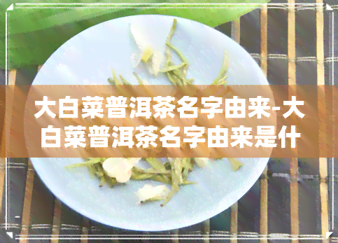 大白菜普洱茶名字由来-大白菜普洱茶名字由来是什么