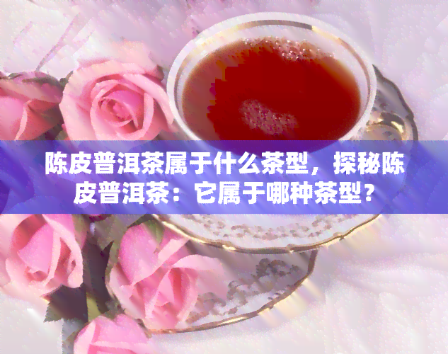 陈皮普洱茶属于什么茶型，探秘陈皮普洱茶：它属于哪种茶型？