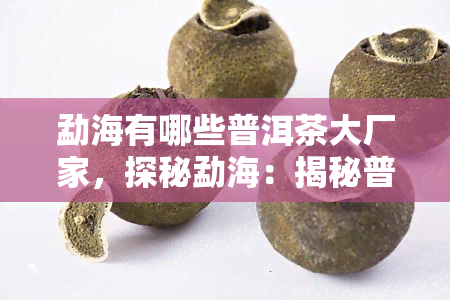 勐海有哪些普洱茶大厂家，探秘勐海：揭秘普洱茶大厂家的奥秘