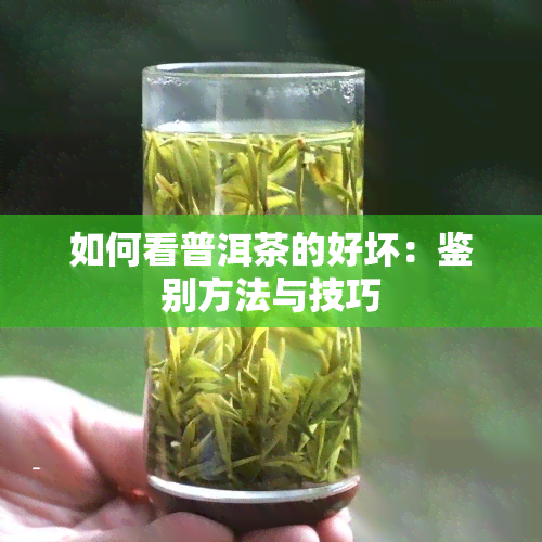 如何看普洱茶的好坏：鉴别方法与技巧