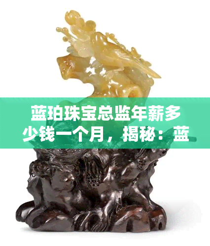 蓝珀珠宝总监年薪多少钱一个月，揭秘：蓝珀珠宝总监年薪究竟多少，月收入有多少？