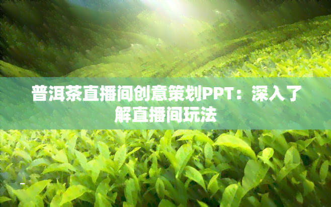 普洱茶直播间创意策划PPT：深入了解直播间玩法