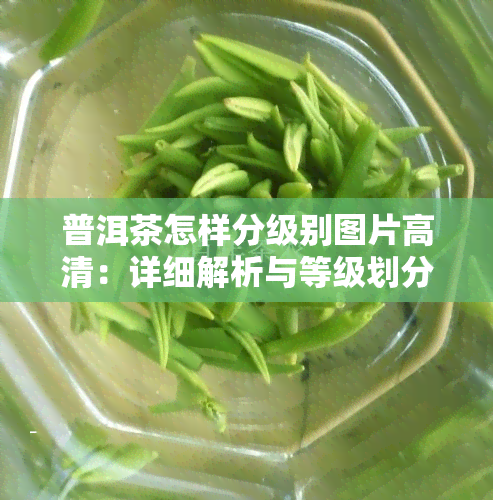 普洱茶怎样分级别图片高清：详细解析与等级划分