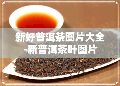 新好普洱茶图片大全-新普洱茶叶图片