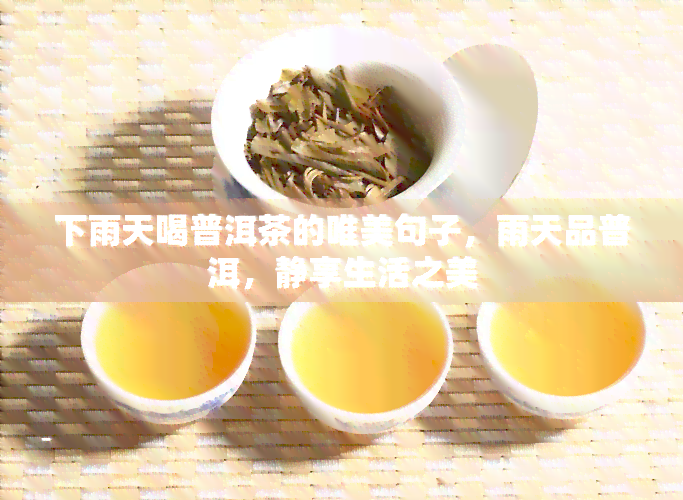 下雨天喝普洱茶的唯美句子，雨天品普洱，静享生活之美