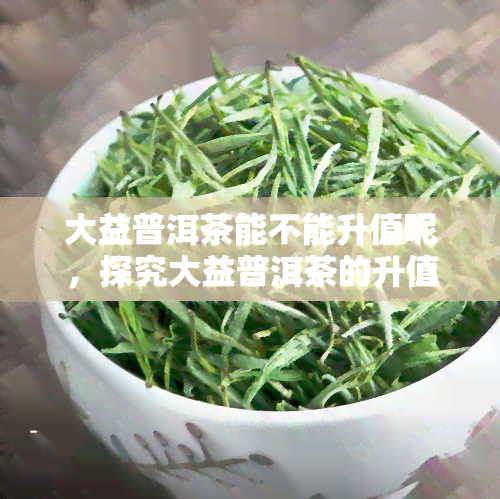 大益普洱茶能不能升值呢，探究大益普洱茶的升值潜力：可能性与影响因素分析