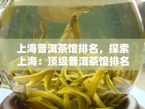 上海普洱茶馆排名，探索上海：顶级普洱茶馆排名一览