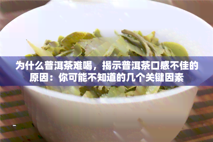 为什么普洱茶难喝，揭示普洱茶口感不佳的原因：你可能不知道的几个关键因素