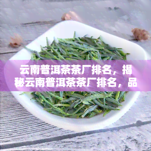 云南普洱茶茶厂排名，揭秘云南普洱茶茶厂排名，品鉴口感的茶叶！